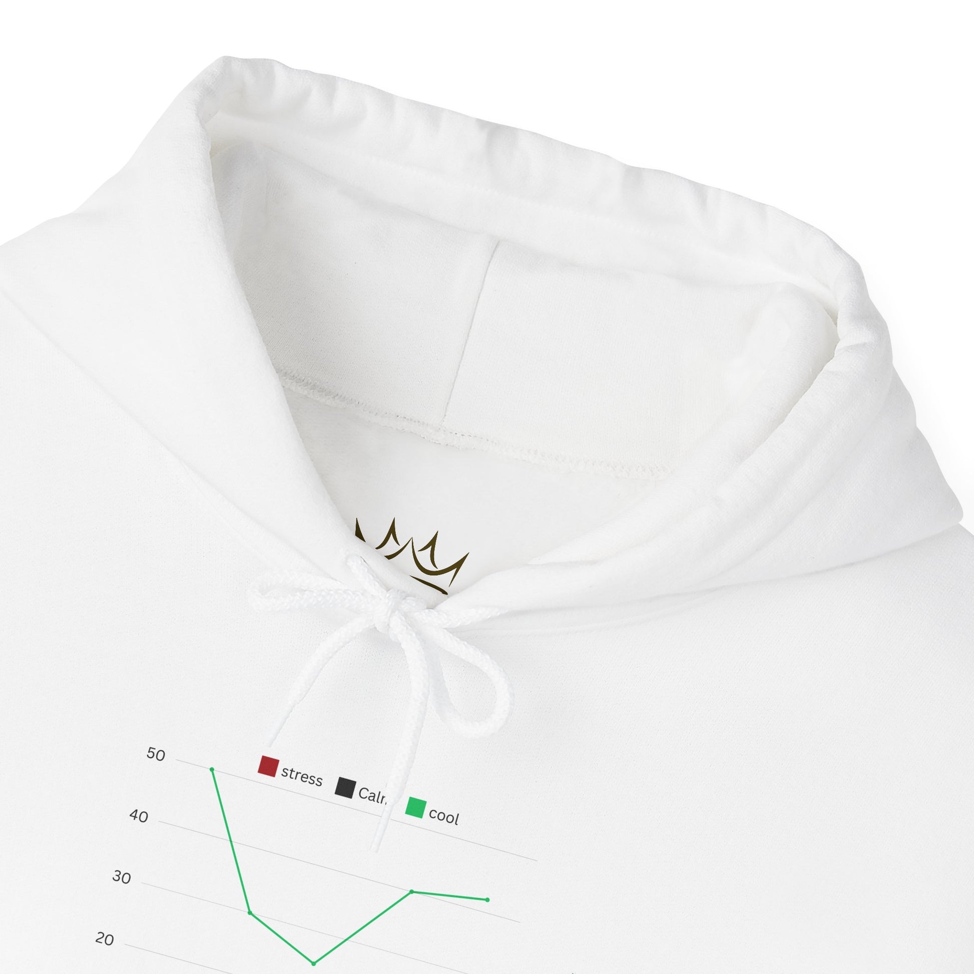 Graphs & Comfort Unisex Hoodie, Cozy Sweatshirt for Data Lovers