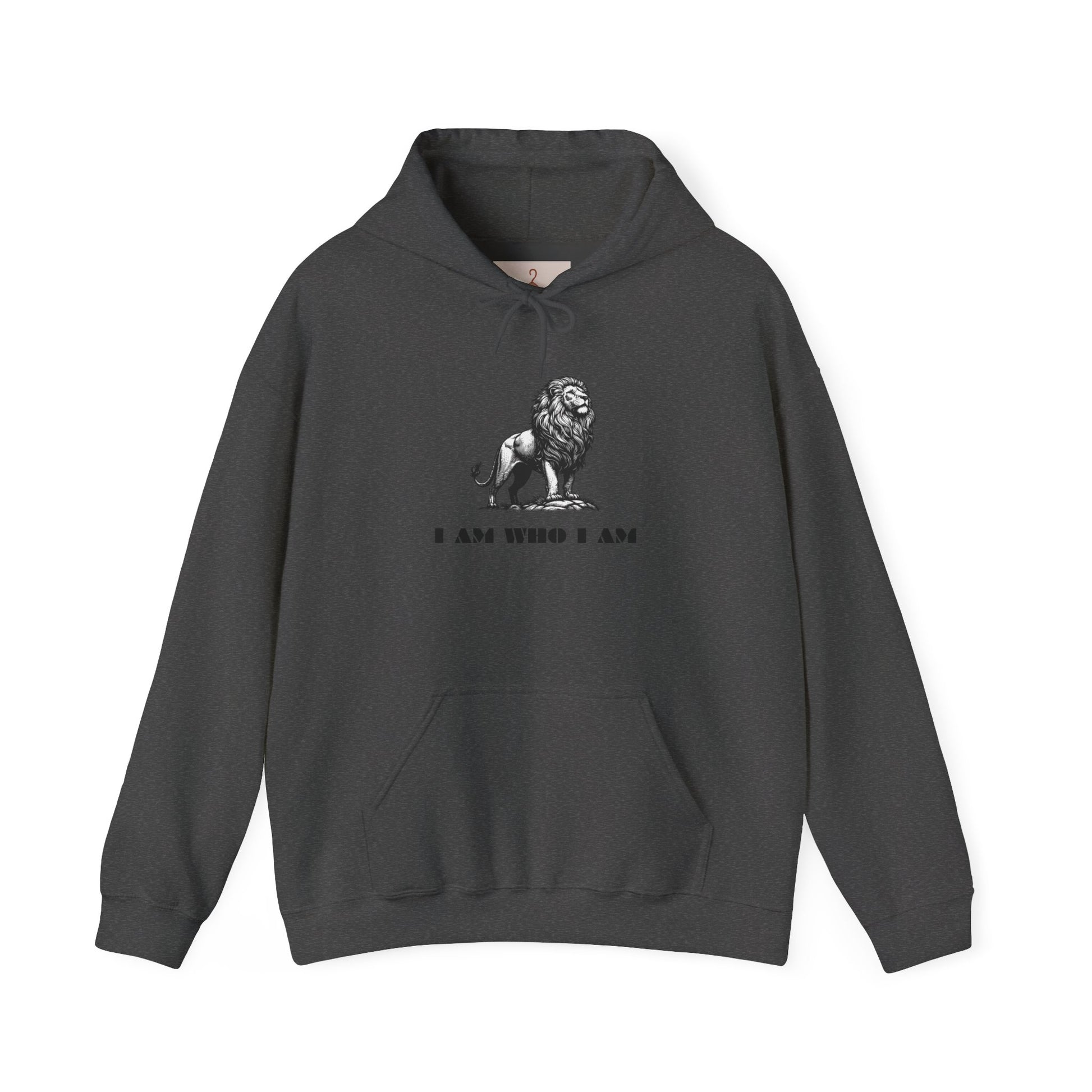 Bold Lion Unisex Hooded Sweatshirt | Inspirational Animal Sweatshirt | Statement Hoodie for Lions Lovers | Perfect Gift for Family